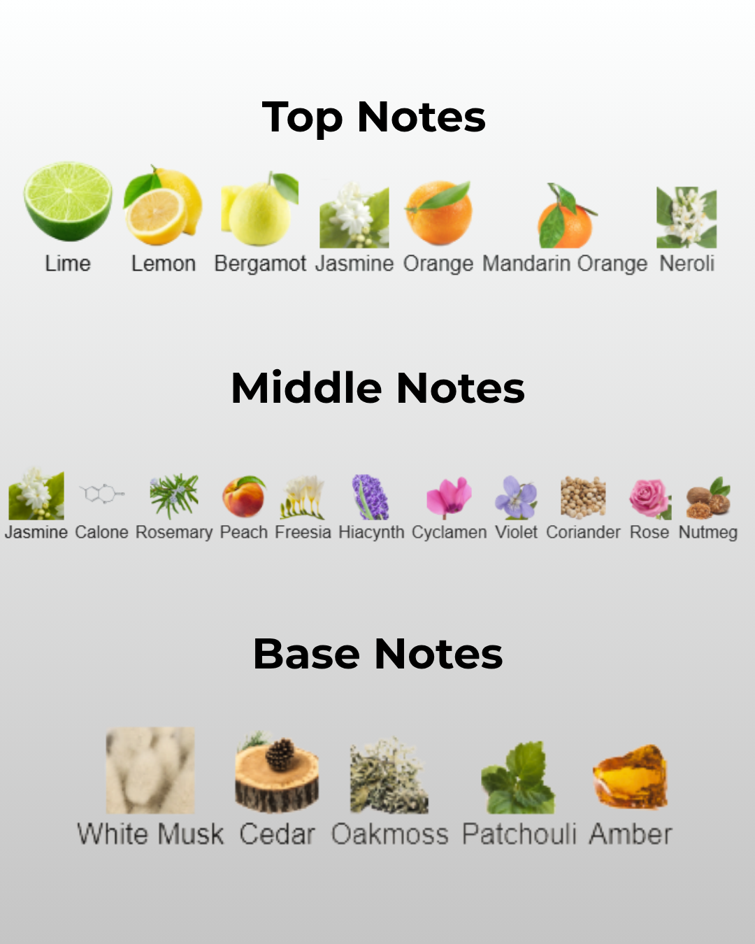 Gio Waters