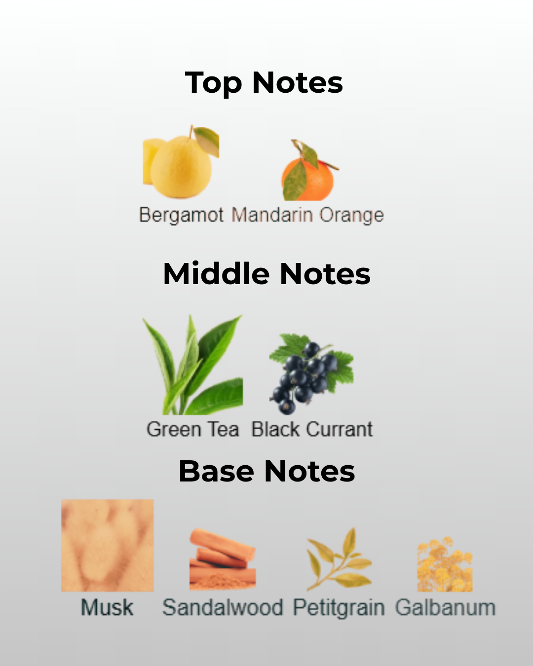 Mountain Silver Mist