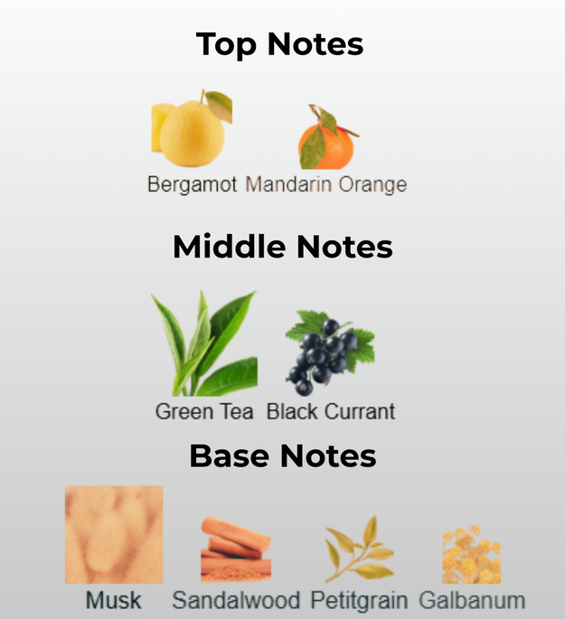 Mountain Silver Mist